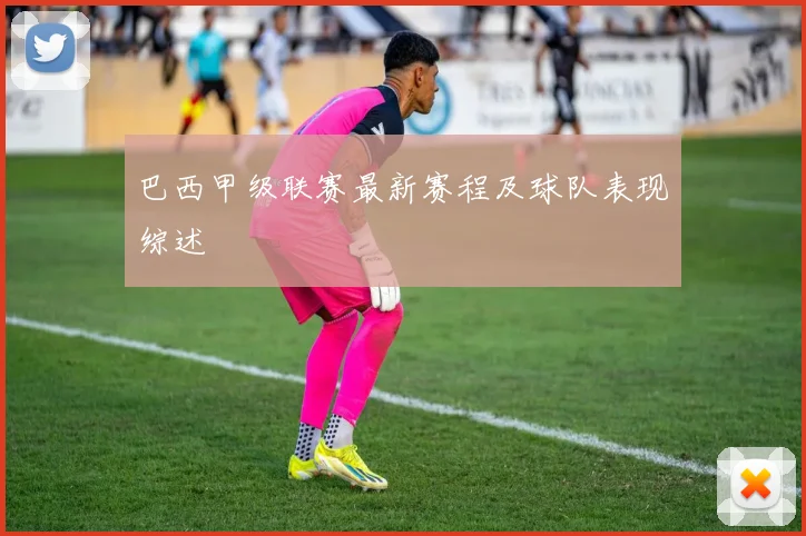 巴西甲级联赛最新赛程及球队表现综述