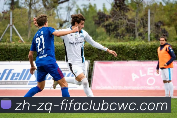 App Interface Preview